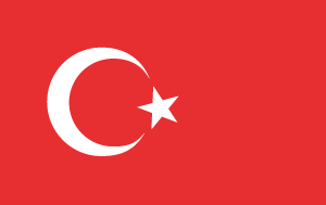 Türkçe
